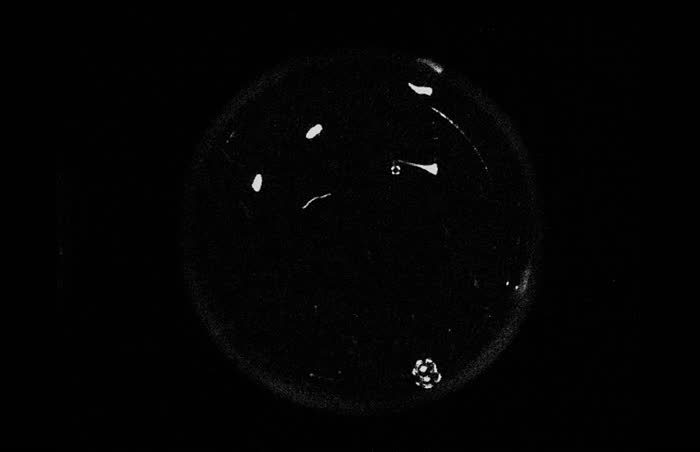 Baseline IR well capture