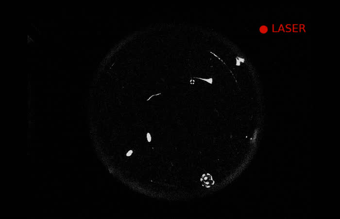 Well capture during green laser stimulus